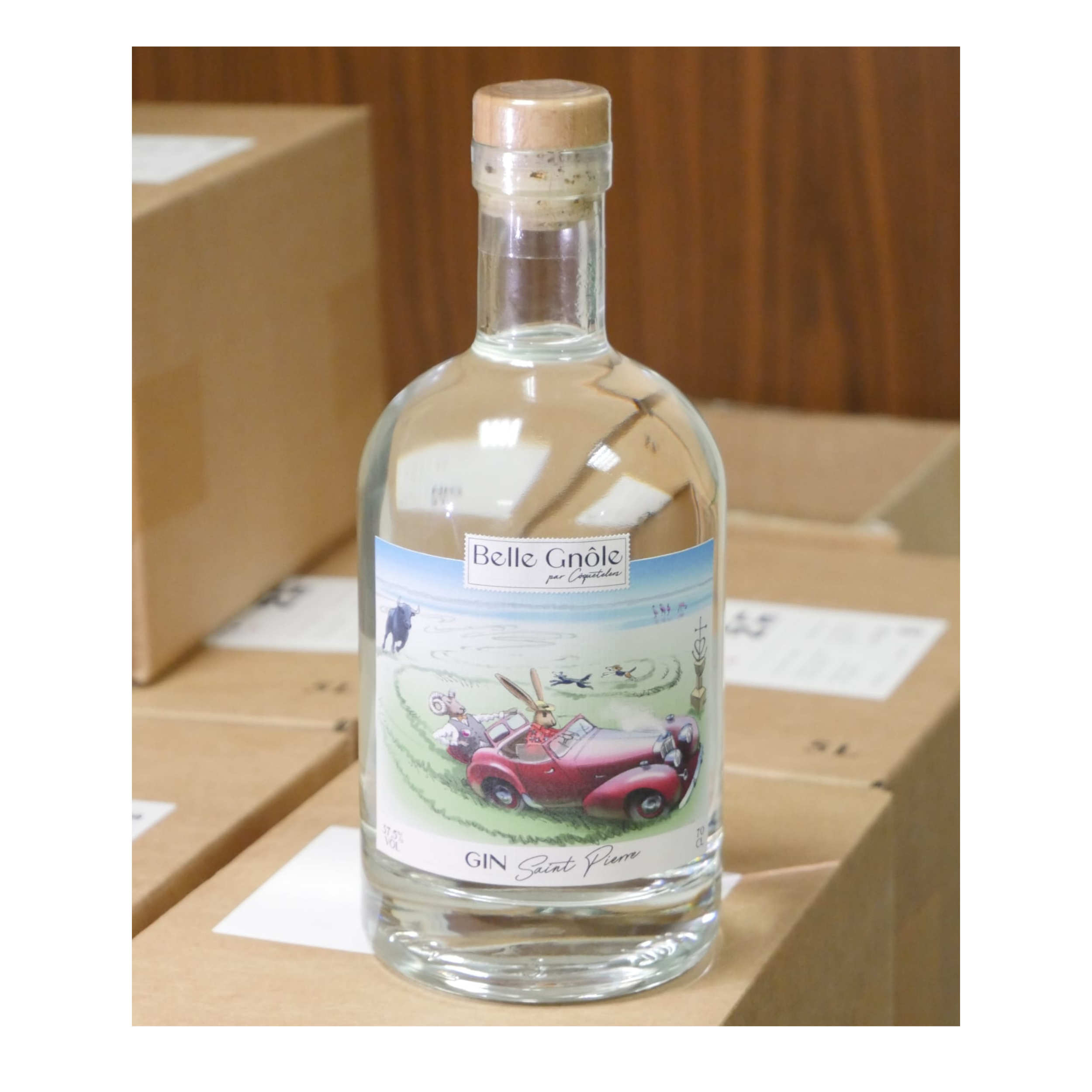 Coffret Gin & Tonic – Belle Gnôle par Côquetelers